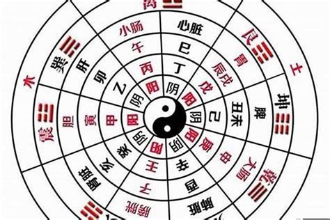 八字全陰怎麼算|免費八字算命、排盤及命盤解說，分析一生的命運